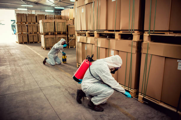Best Mosquito Control Services  in Ridge, NY