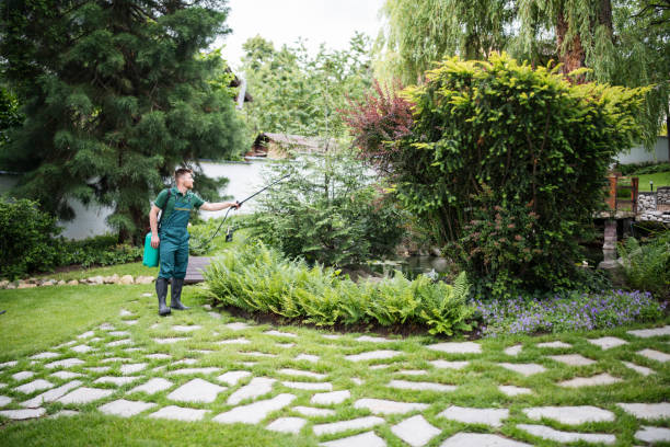 Best Pest Prevention Services  in Ridge, NY