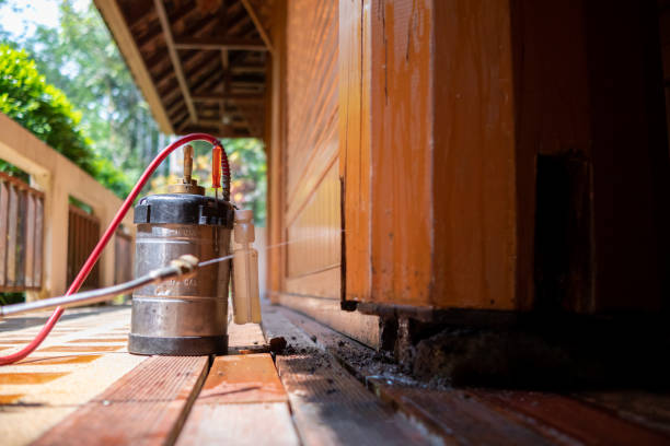 Best Ant Control Services  in Ridge, NY