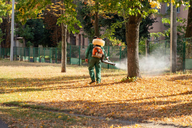 Best Pest Control Near Me in Ridge, NY