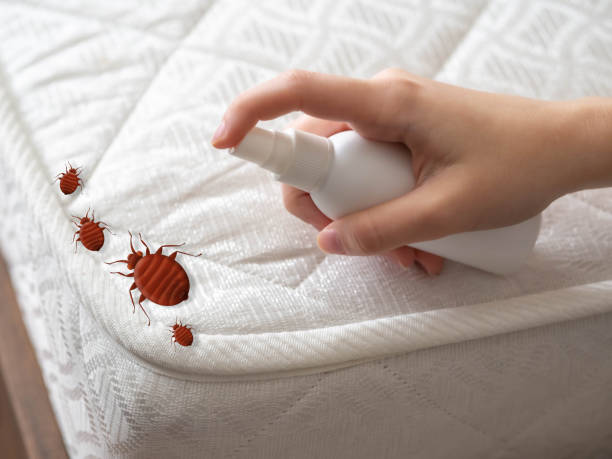Best Exterminator Services  in Ridge, NY