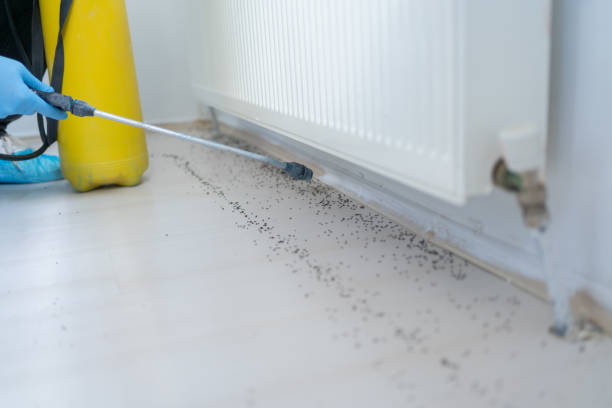 Trusted Ridge, NY Pest Control Experts