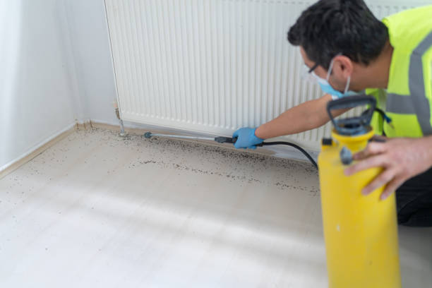 Best Cockroach Control Services  in Ridge, NY