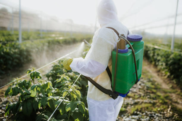 Best Emergency Pest Control  in Ridge, NY